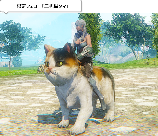 限定フェロー「三毛猫タマ」 限定フェロー「三毛猫タマ」