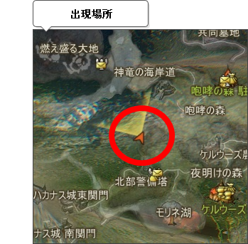 出現場所