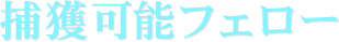 捕獲可能フェロー