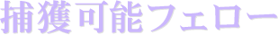 捕獲可能フェロー