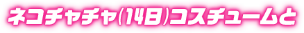 ネコチャチャ(14日)コスチュームと