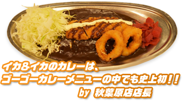 イカ&イカのカレーは、ゴーゴーカレーメニューの中でも史上初!!by 秋葉原店店長