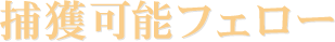 捕獲可能フェロー