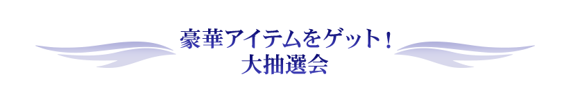 豪華アイテムをゲット！大抽選会