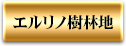 エルリノ樹林地