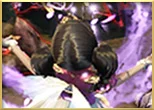 クラススキルのサムネイル2