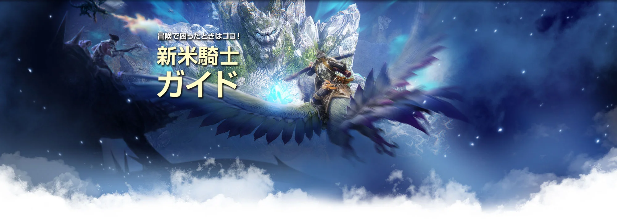 新米騎士ガイド