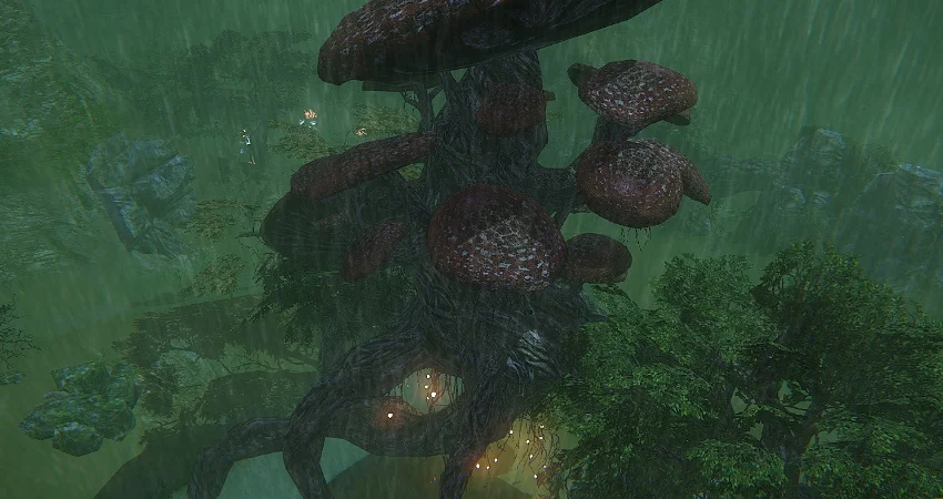アクラン森