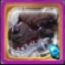 Item title